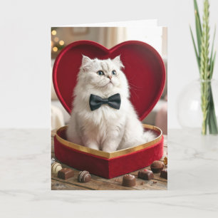 Carte Chat Persan de la Saint-Valentin dans une boîte de