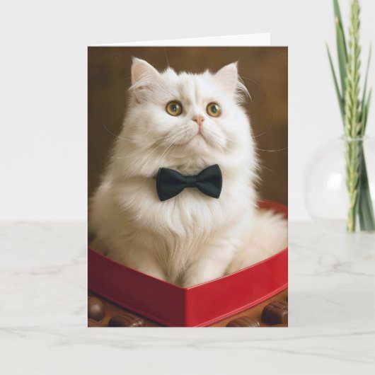 Carte Chat Persan de la Saint-Valentin dans une boîte de (Devant)