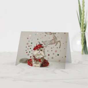 Carte Chat persan de Noël mignon