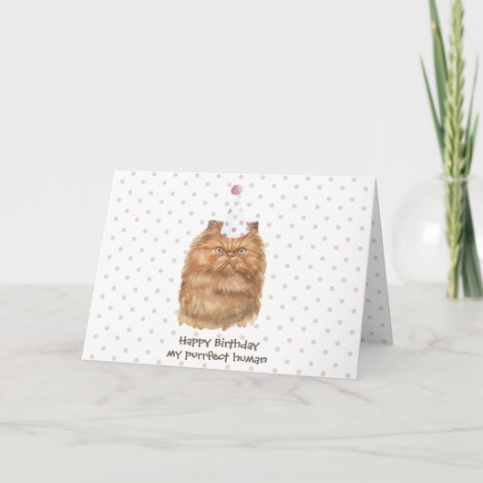 Carte Chat Persan Drôle avec Chapeau de Fête (Devant)