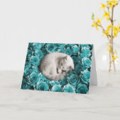 Carte Chat perse blanc et Rose (Fleur jaune)