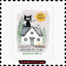 Chat Peureux Nouvelle Maison