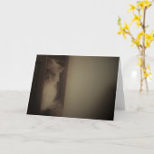 Carte Chat Ragdoll (Fleur jaune)