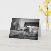 Carte Chat Ragdoll (Fleur jaune)