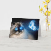 Carte Chat Ragdoll Anniversaire Avec Papillon Néon Bleu (Fleur jaune)