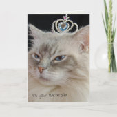 Carte Chat Ragdoll avec couronne (Devant)