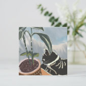 Carte Chat regardant les plantes d'intérieur  (Debout devant)