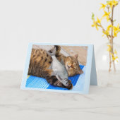 Carte Chat Rêve De Poisson Anniversaire (Fleur jaune)