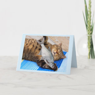 Carte Chat Rêve De Poisson Anniversaire