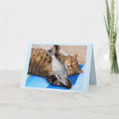 Carte Chat Rêve De Poisson Anniversaire (Devant)