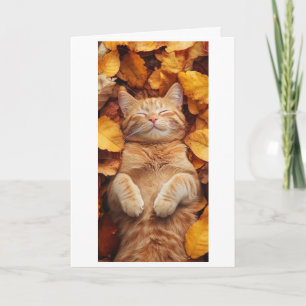 Carte chat roux profitant d'un moment de sommeil