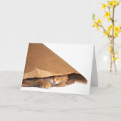 Carte chat sac en papier Brown (Fleur jaune)