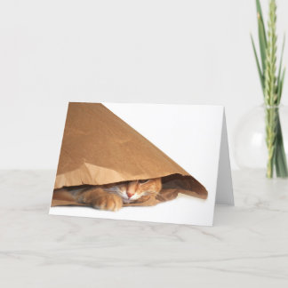 Carte chat sac en papier Brown