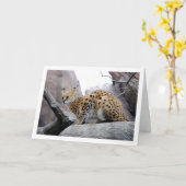 Carte Chat Serval sur Rocher (Fleur jaune)