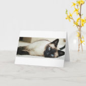 Carte Chat siamois (Fleur jaune)