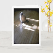 Carte Chat siamois à pointe lilas au soleil (Fleur jaune)