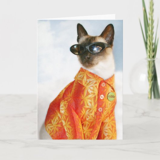 Carte Chat siamois aux nuances (Devant)