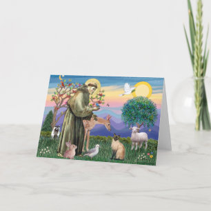 Carte Chat siamois et Saint François