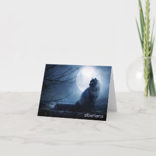 Carte Chat sibérien intrigant à la nuit