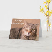 Carte Chat Sincere Se Bien (Fleur jaune)