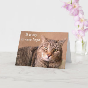 Carte Chat Sincere Se Bien