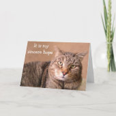 Carte Chat Sincere Se Bien (Devant)