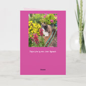 Carte Chat smoking en smoking sniffant des fleurs drôle  (Dos)