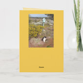 Carte Chat Smoking Mignon Rouge Jaune Saint-Valentin Nom (Dos)