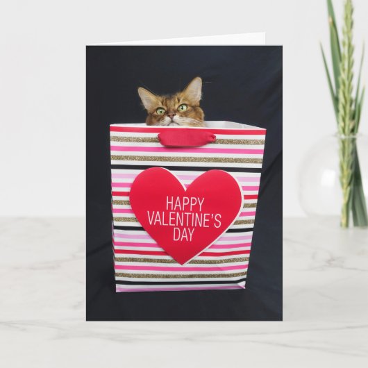 Carte Chat somalien dans un sac Heureuse Sainte-Valentin (Devant)