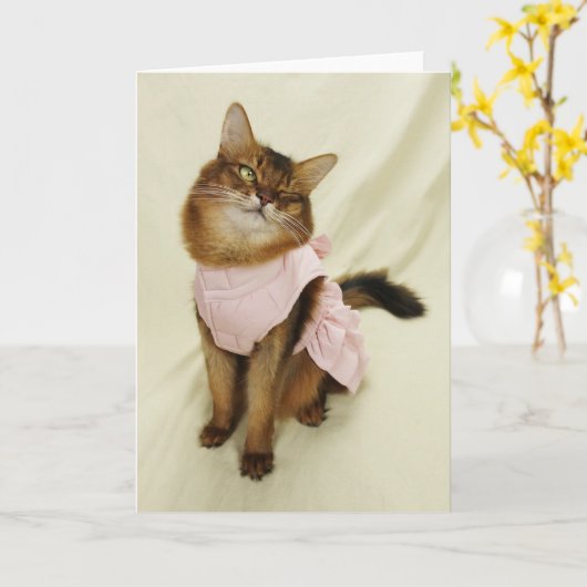 Carte Chat somalien Flirty (Fleur jaune)