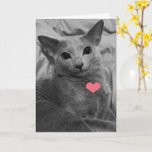 Carte Chat souriant Valentine (Fleur jaune)