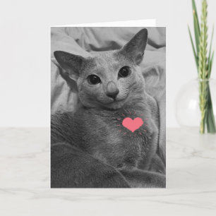 Carte Chat souriant Valentine