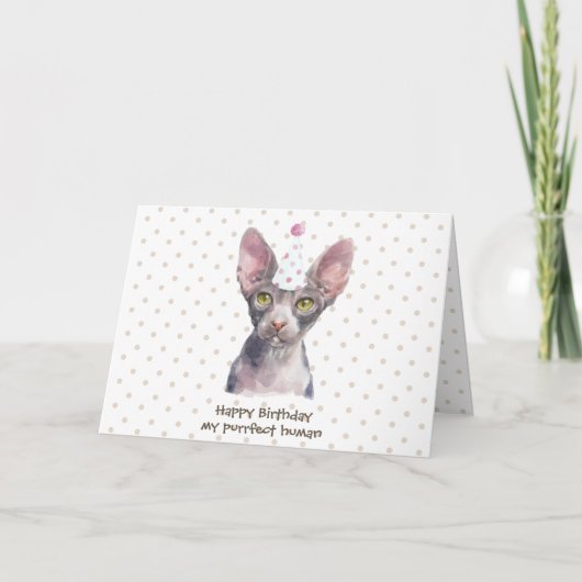 Carte Chat Sphynx avec Chapeau de Fête (Devant)
