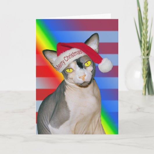 Carte Chat Sphynx Ninja Père Noël Noël Arc-en-ciel (Devant)