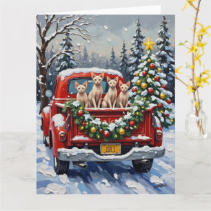 Carte Chat Sphynx Noël Camion Rouge Fêtes
