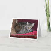 Carte Chat sur coussins rouges (Devant)