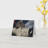 Carte Chat sur la barrière (9) (Fleur jaune)