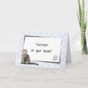 Carte Chat Sur Plaid Pet Perdre Sympathie