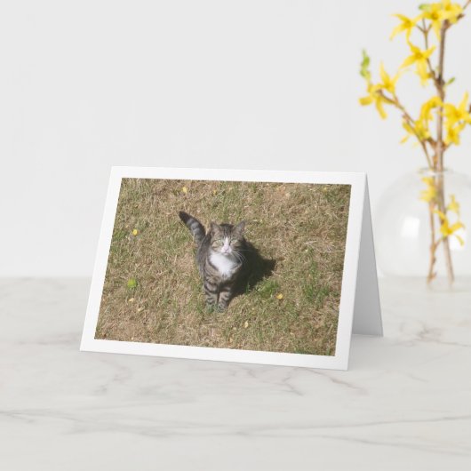 Carte Chat sur Portrait d'herbe (Fleur jaune)