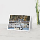 Carte Chat sur Rock Wall (Devant)