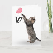 Carte chat tabby 10e anniversaire (Devant)