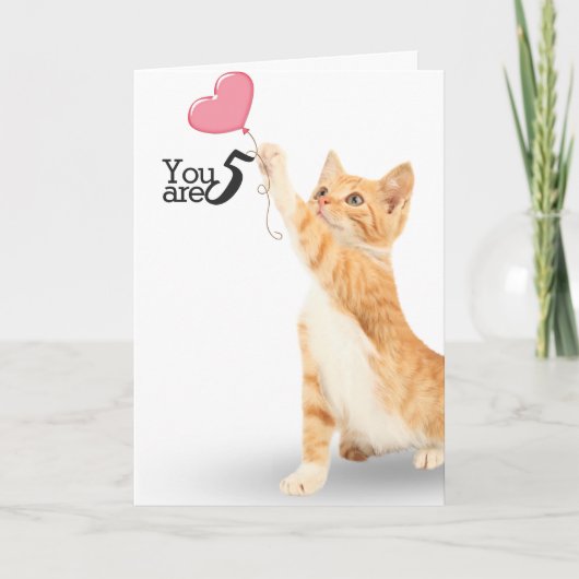 Carte chat tabby 5e anniversaire (Devant)