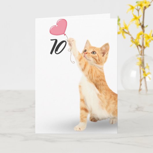 Carte chat tabby à 70e anniversaire (Fleur jaune)