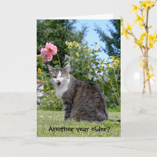 Carte chat tabby anniversaire (Fleur jaune)