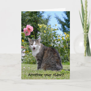 Carte chat tabby anniversaire