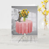 Carte Chat Tabby Anniversaire Avec Bouquet De Tournesol (Fleur jaune)