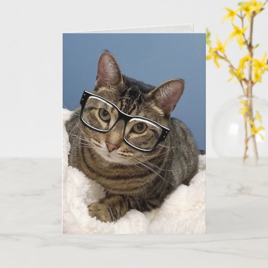 Carte chat tabby avec lunettes (Fleur jaune)