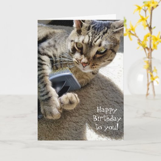 Carte chat tabby d'anniversaire avec brosse (Fleur jaune)