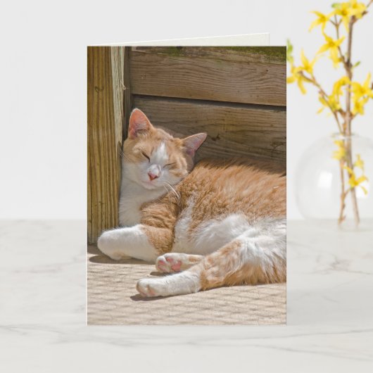 Carte chat tabby endormi pour anniversaire (Fleur jaune)