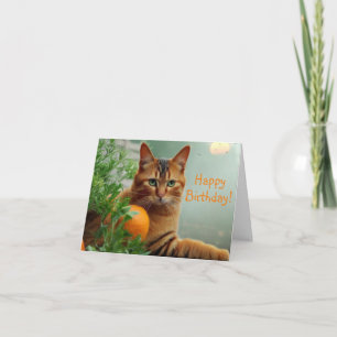 Carte Chat Tabby Orange